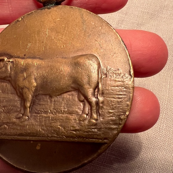 Vintage French Belgian large bronze cow medal agricultural heavy 1932 1930s - Picture 3 of 9